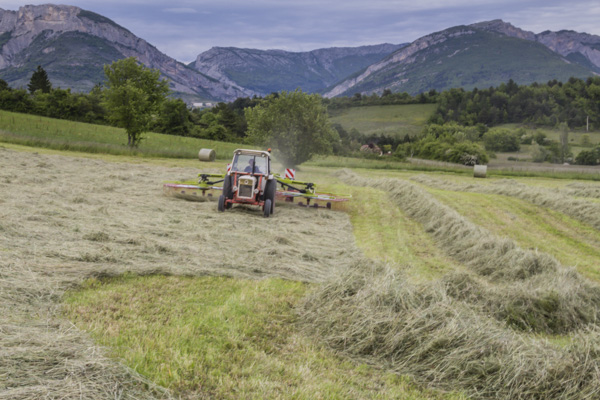 Les foins à Trescléoux, Hautes-Alpes