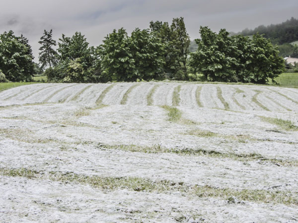 La neige en Mai, Trescléoux, Hautes-Alpes